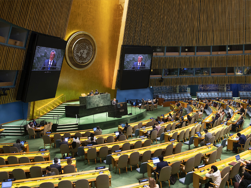 International Cooperation and Capacity Building
