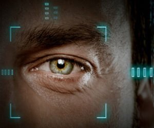 Understanding International Criminal Intelligence